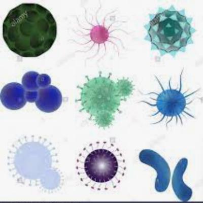 EP 26. Enfermedades de Transmisión Sexual (ETS)