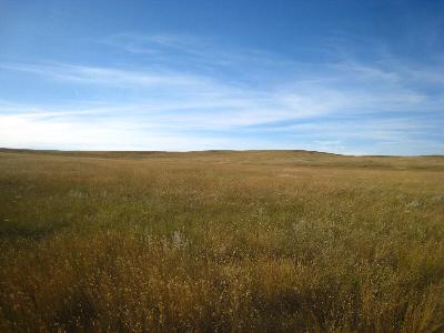 North America’s most endangered ecosystem