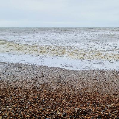 268 A wild ocean above ancient tree stumps