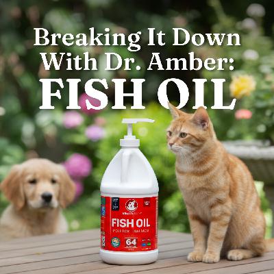 Breaking It Down with Dr. Amber: Fish Oil