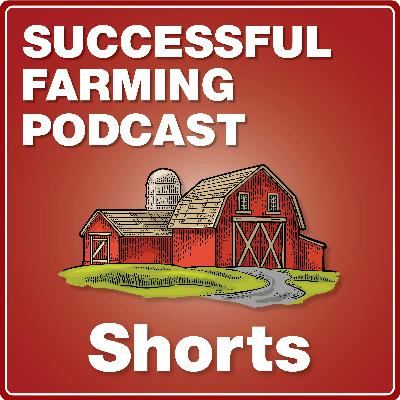 Saturday Short: How to Diagnose Herbicide Injury