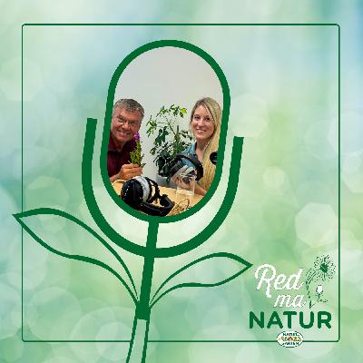 Gartenrundgang im „Zeitreise Zukunft Naturgarten“