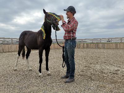 Folge 12: Die Veränderung beginnt beim Menschen