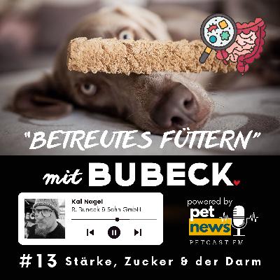 #13 - Stärke, Zucker & der große Backen-Unterschied