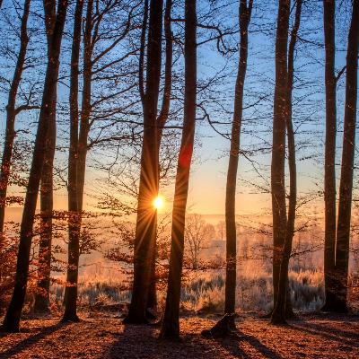 Calling upon the Light within - Part 6