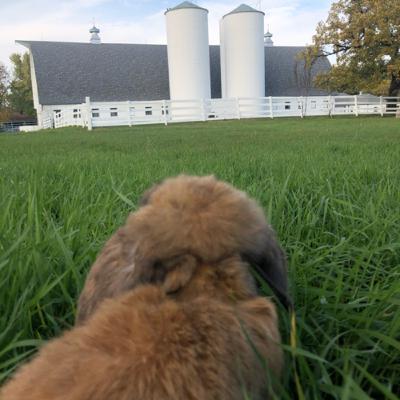 (11.27.20) Contagious Optimism (11.27.20) Contagious Optimism