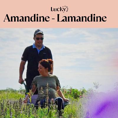 Ep 8 : Amandine Deschamps - Lamandine : agriculture, maternité et équilibre - échange entre floricultrices