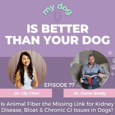 Is Animal Fiber the Missing Link for Kidney Disease, Bloat & Chronic GI Issues in Dogs? w/ Dr. Conor Brady