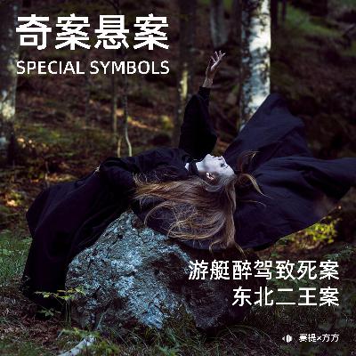 奇案悬案第二十四期：《东北二王案》《游艇醉驾致死案》