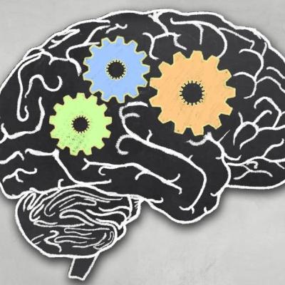Episode 5: Executive Function
