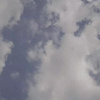 Sentence 8-can-Armando-Yllescas Sentence 8-can-Armando-Yllescas