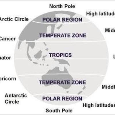 Polar and tropical rainforests