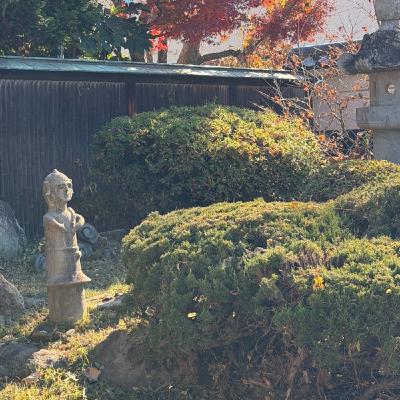 借りてる古民家の縁側があまりに気持ちがいいので思わずライブ配信してしまった