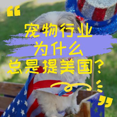 宠物行业为什么总提美国？