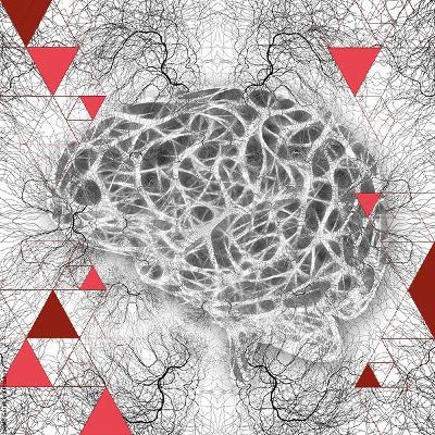 Ons brein en het kwaad | Neurowetenschapper Inti Brazil en filosoof Marcel Becker