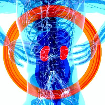 Maladies rénales : quelles prises en charge au service du patient ?