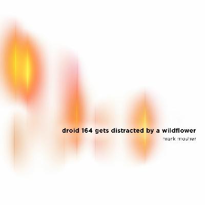 SO4-E02: Droid 164 Gets Distracted by a Wildflower