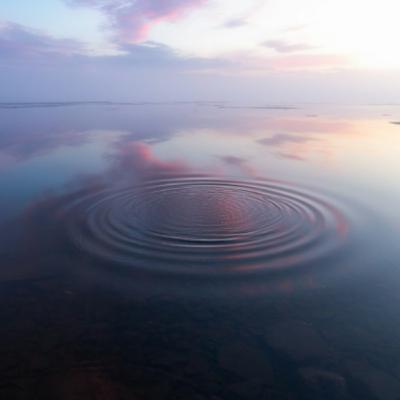 Tranquility Tranquility