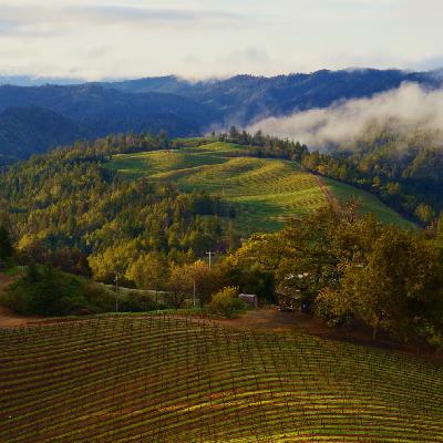 EP10 长久的关系来自真诚:和黑塞一起直面精神与爱欲 EP10 长久的关系来自真诚:和黑塞一起直面精神与爱欲