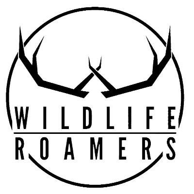 #9 Wildlife Talk mit den Wildlife Roamers.