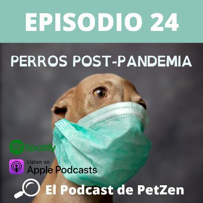 Episodio #24 Perros Post Pandemia