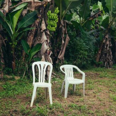 NUEAVAYoL - Bad Bunny NUEAVAYoL - Bad Bunny