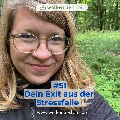 #51 Dein Exit aus der Stressfalle - drei Erfolgsstrategien #51 Dein Exit aus der Stressfalle - drei Erfolgsstrategien