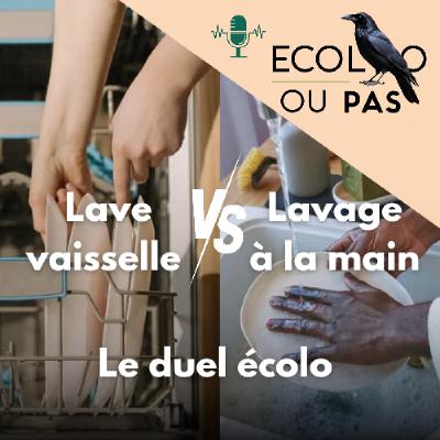 Lave vaisselle ou lavage à la main ? Le duel écolo