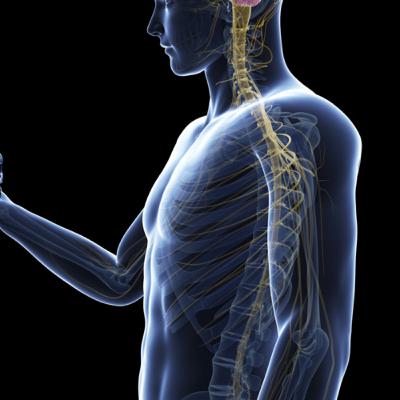 Kronisk nyresvikt og cøliaki.