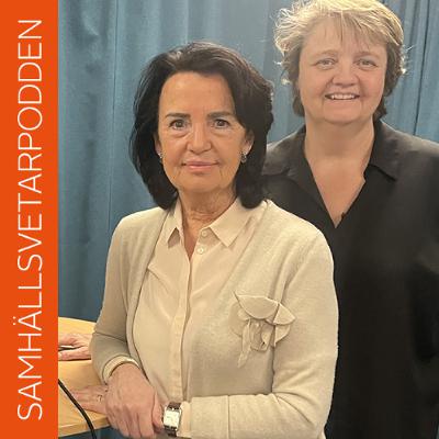 Regeringens förslag är vårdslös plakatpolitik säger Anne Ramberg