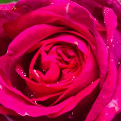 08 - Aurie und die Liebe