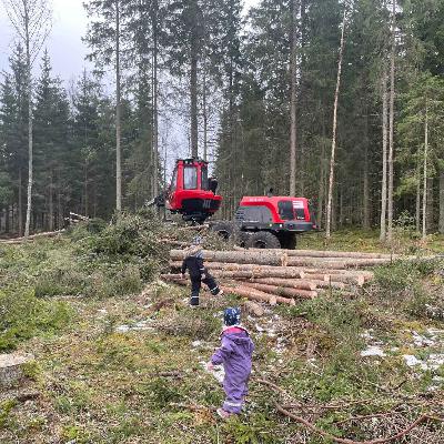 Avsnitt 73 - Skogsexkursion & våraktiviteter i skogen!