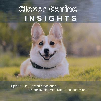 Beyond Obedience: Understanding Your Dog’s Emotional World