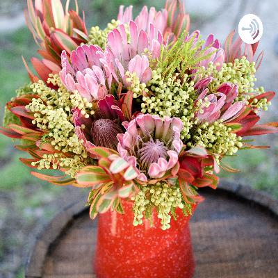 Cooking With Lynette