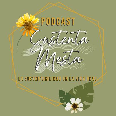 T3E3 Zero waste con Gaby