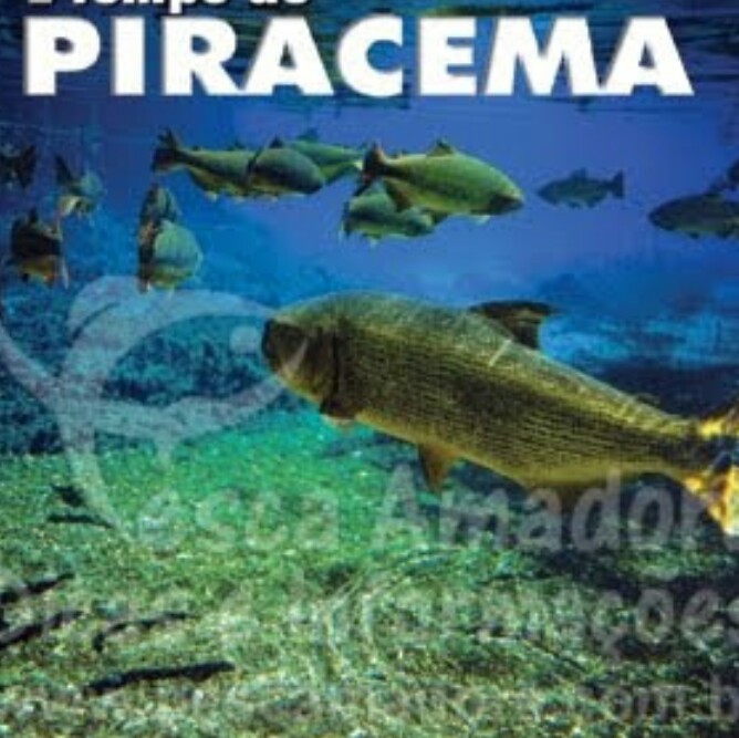 PIRACEMA: