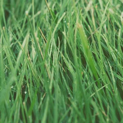 Guided Meditation: Sitting Together