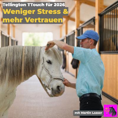 Rezept fürs Wohlbefinden: Regelmäßig TTouch