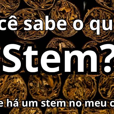 Você sabe o que é um Stem? É um erro ou uma característica no charuto? Você sabe o que é um Stem? É um erro ou uma característica no charuto?