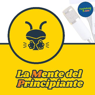 La mente del principiante: valorizza l’inesperienza