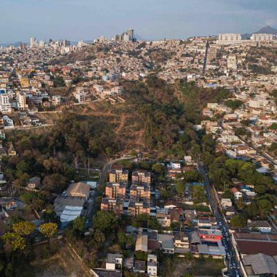Após batalha judicial, Mata do Havaí será preservada