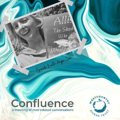 Confluence with Angela Gall - all about Allis - Episode 8