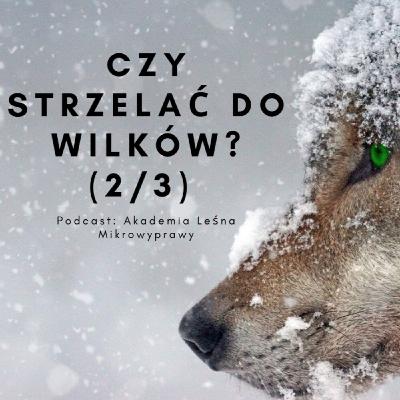 CZY STRZELAĆ DO WILKÓW? (2/3)