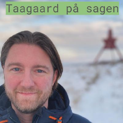 Afsnit 1 - Det stille flertal, vind- og solenergiprojekt nr. 37