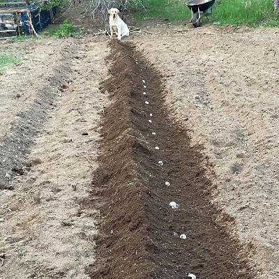 Briden Farm Fireside Chat Briden Farm Fireside Chat