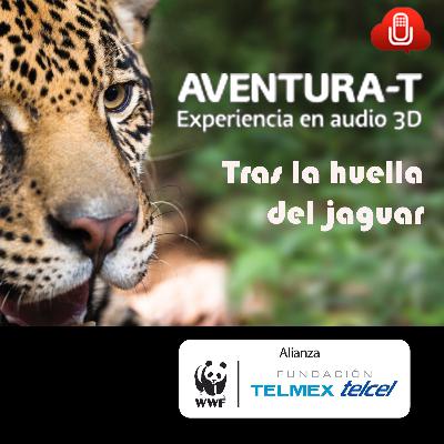 Aventúra-T EP02 Tras la huella del jaguar
