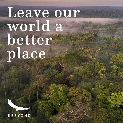 From Traveler to Change Maker: Unleashing your power for positive change