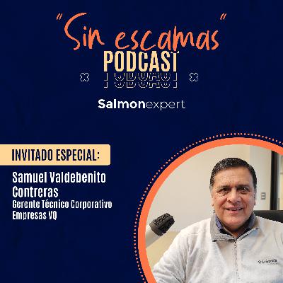 Cap 10 / Temp 2: Samuel Valdebenito, Gerente Técnico Corporativo de Empresas VQ