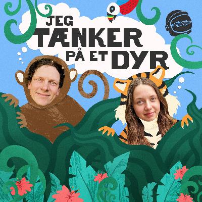Jeg tænker på et bittert dyr