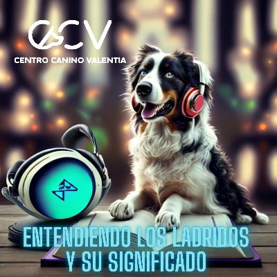 Ladridos y educación canina: Guía para comprender a tu perro